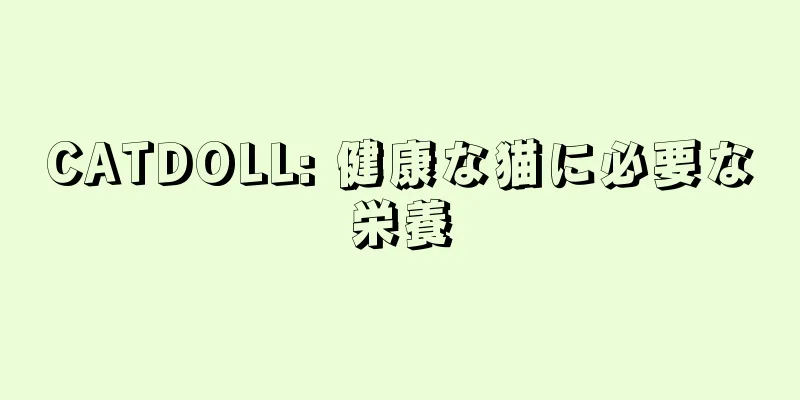 CATDOLL: 健康な猫に必要な栄養