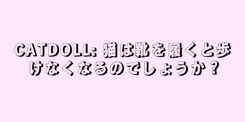 CATDOLL: 猫は靴を履くと歩けなくなるのでしょうか？