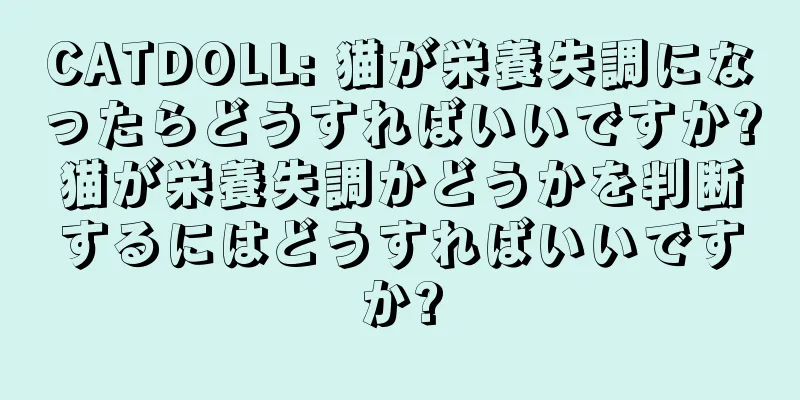 CATDOLL: 猫が栄養失調になったらどうすればいいですか?猫が栄養失調かどうかを判断するにはどうすればいいですか?