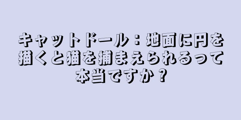 キャットドール：地面に円を描くと猫を捕まえられるって本当ですか？