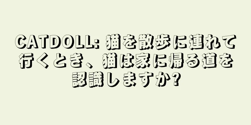 CATDOLL: 猫を散歩に連れて行くとき、猫は家に帰る道を認識しますか?