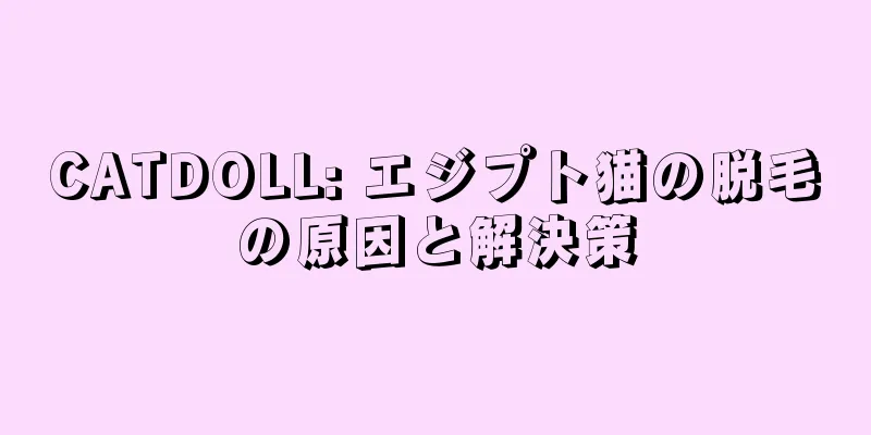 CATDOLL: エジプト猫の脱毛の原因と解決策