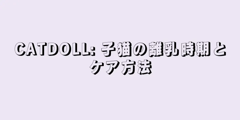 CATDOLL: 子猫の離乳時期とケア方法