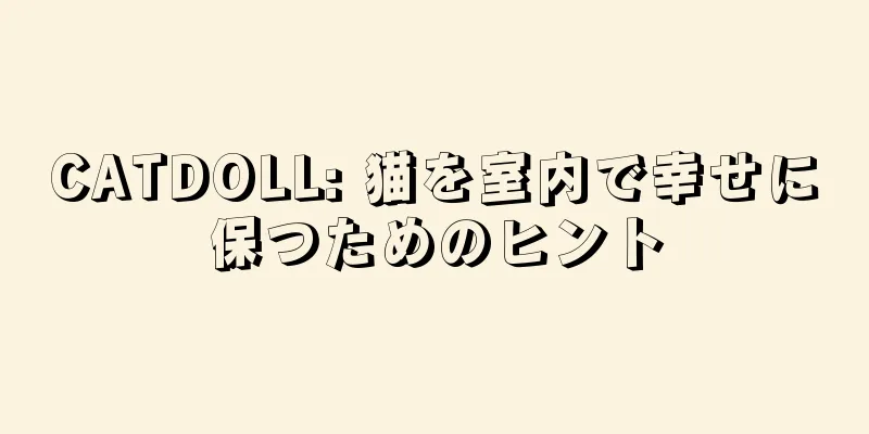 CATDOLL: 猫を室内で幸せに保つためのヒント