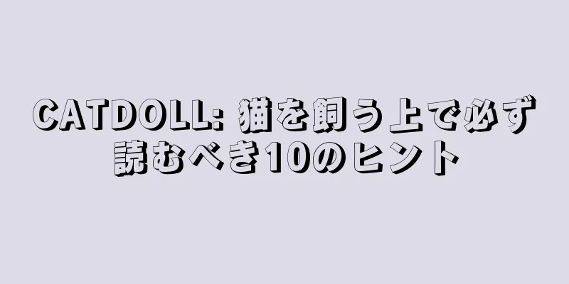 CATDOLL: 猫を飼う上で必ず読むべき10のヒント