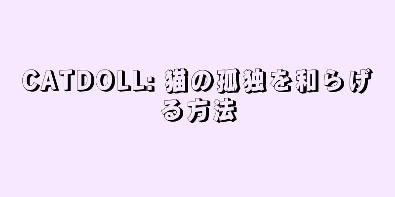CATDOLL: 猫の孤独を和らげる方法