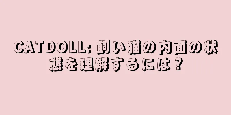 CATDOLL: 飼い猫の内面の状態を理解するには？