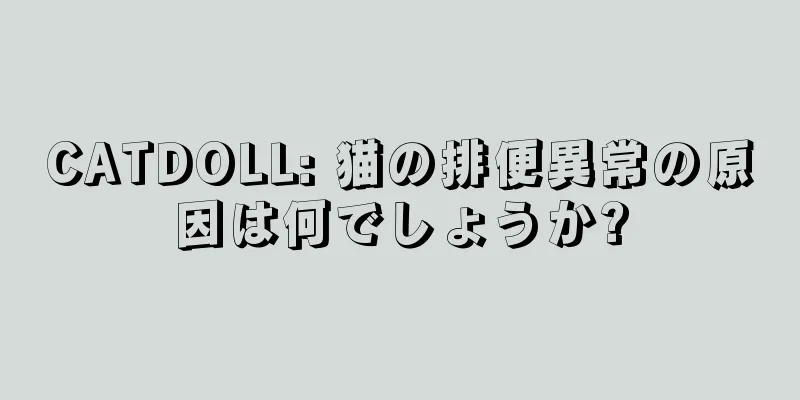 CATDOLL: 猫の排便異常の原因は何でしょうか?