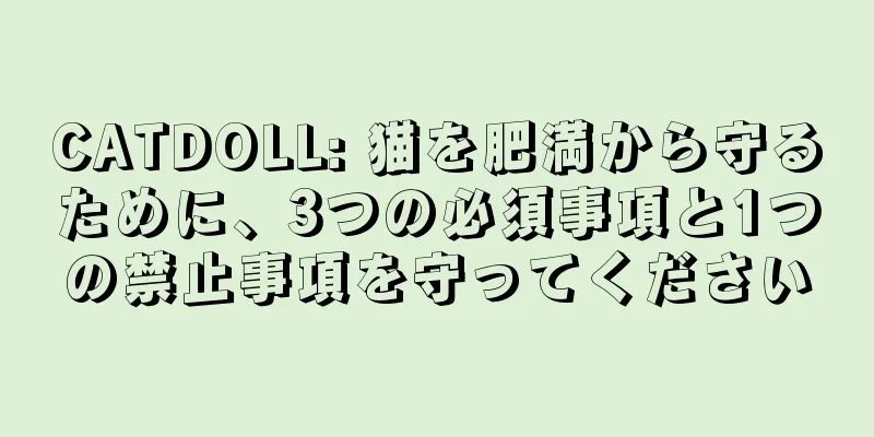 CATDOLL: 猫を肥満から守るために、3つの必須事項と1つの禁止事項を守ってください