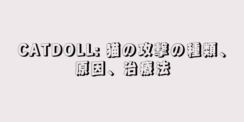 CATDOLL: 猫の攻撃の種類、原因、治療法