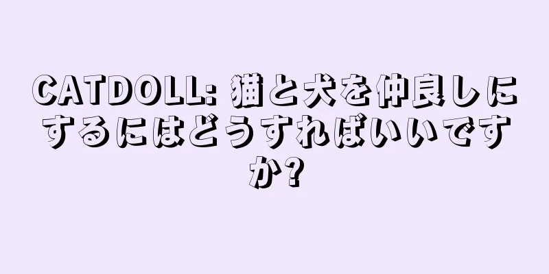 CATDOLL: 猫と犬を仲良しにするにはどうすればいいですか?