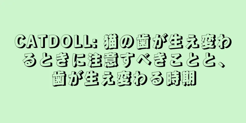 CATDOLL: 猫の歯が生え変わるときに注意すべきことと、歯が生え変わる時期