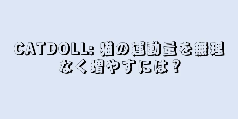CATDOLL: 猫の運動量を無理なく増やすには？