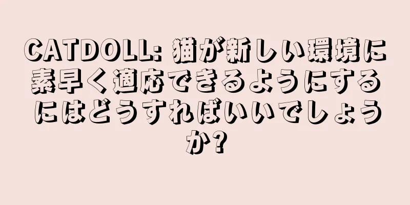 CATDOLL: 猫が新しい環境に素早く適応できるようにするにはどうすればいいでしょうか?