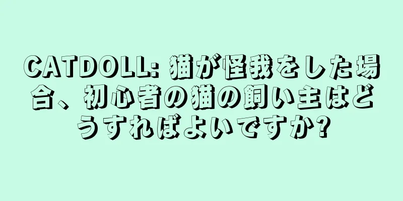 CATDOLL: 猫が怪我をした場合、初心者の猫の飼い主はどうすればよいですか?