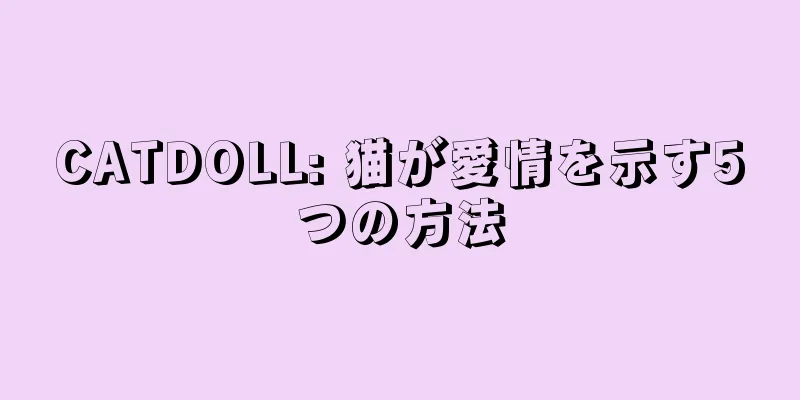 CATDOLL: 猫が愛情を示す5つの方法
