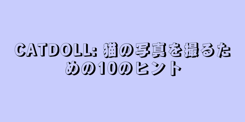 CATDOLL: 猫の写真を撮るための10のヒント