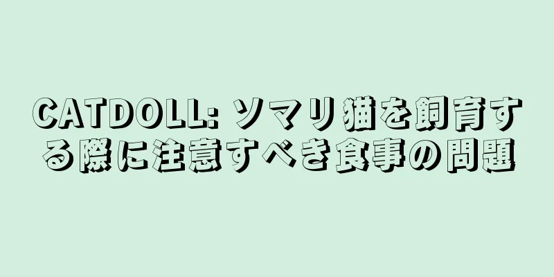 CATDOLL: ソマリ猫を飼育する際に注意すべき食事の問題