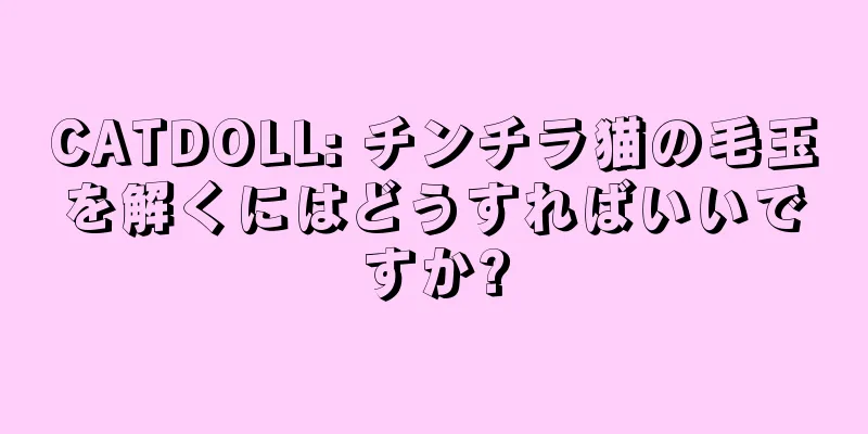 CATDOLL: チンチラ猫の毛玉を解くにはどうすればいいですか?
