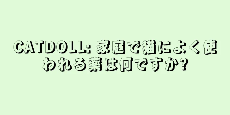 CATDOLL: 家庭で猫によく使われる薬は何ですか?