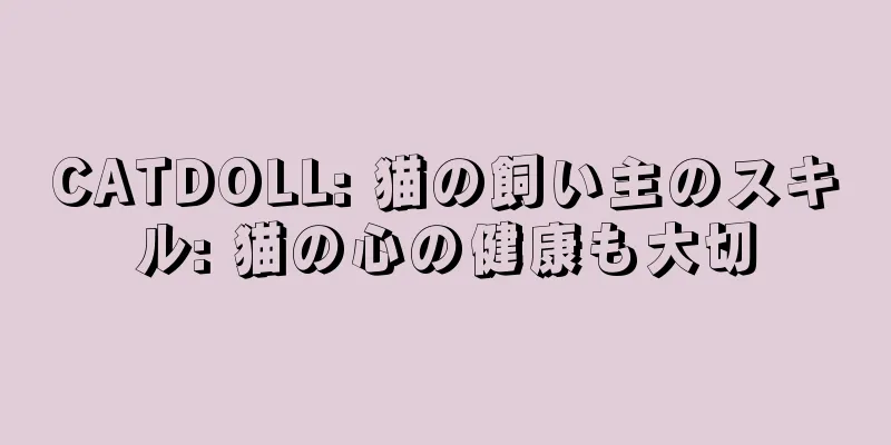 CATDOLL: 猫の飼い主のスキル: 猫の心の健康も大切