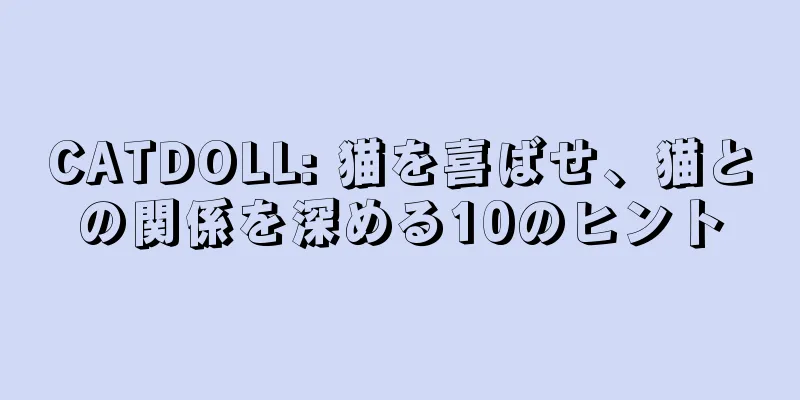 CATDOLL: 猫を喜ばせ、猫との関係を深める10のヒント