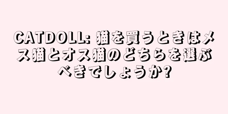 CATDOLL: 猫を買うときはメス猫とオス猫のどちらを選ぶべきでしょうか?