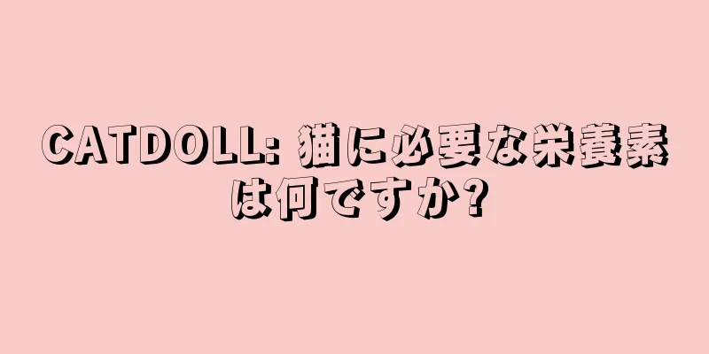 CATDOLL: 猫に必要な栄養素は何ですか?