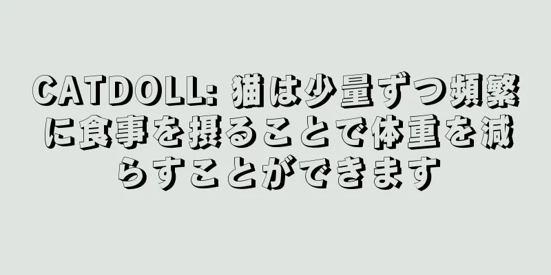CATDOLL: 猫は少量ずつ頻繁に食事を摂ることで体重を減らすことができます