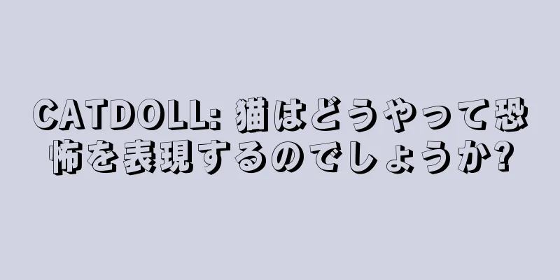CATDOLL: 猫はどうやって恐怖を表現するのでしょうか?