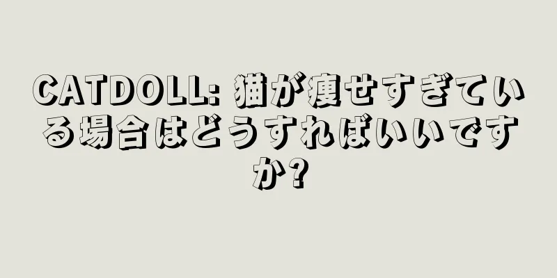 CATDOLL: 猫が痩せすぎている場合はどうすればいいですか?