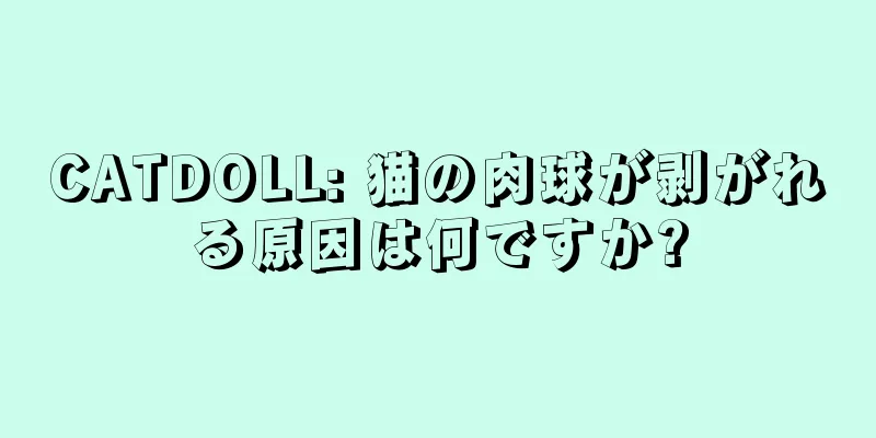 CATDOLL: 猫の肉球が剥がれる原因は何ですか?