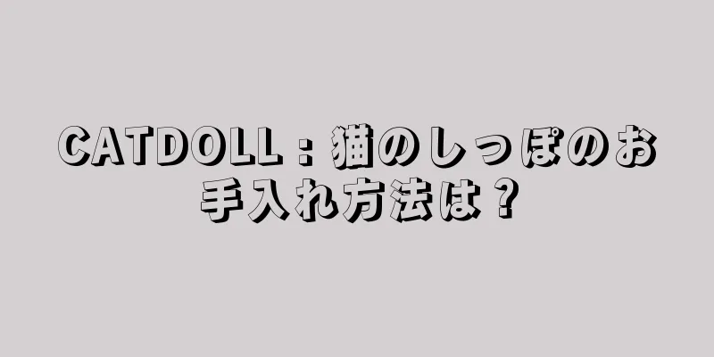 CATDOLL : 猫のしっぽのお手入れ方法は？