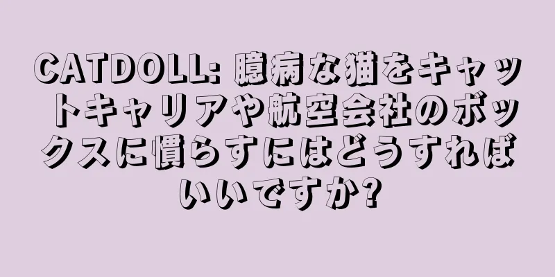 CATDOLL: 臆病な猫をキャットキャリアや航空会社のボックスに慣らすにはどうすればいいですか?