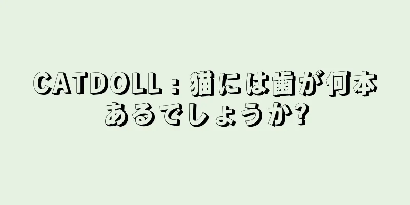 CATDOLL : 猫には歯が何本あるでしょうか?