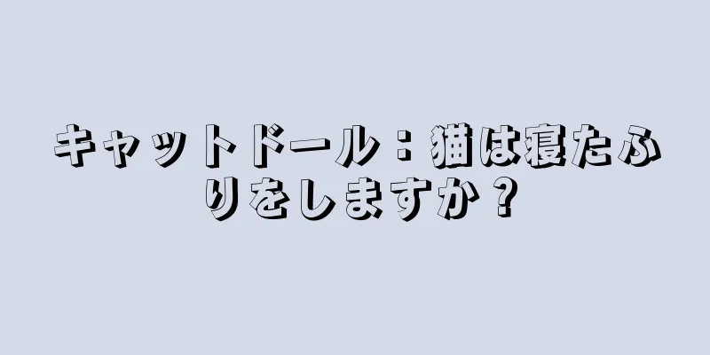 キャットドール：猫は寝たふりをしますか？