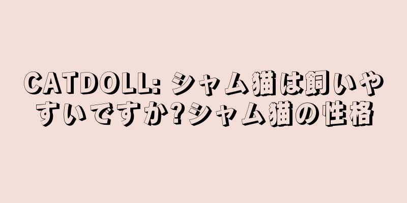 CATDOLL: シャム猫は飼いやすいですか?シャム猫の性格