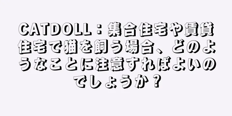 CATDOLL：集合住宅や賃貸住宅で猫を飼う場合、どのようなことに注意すればよいのでしょうか？