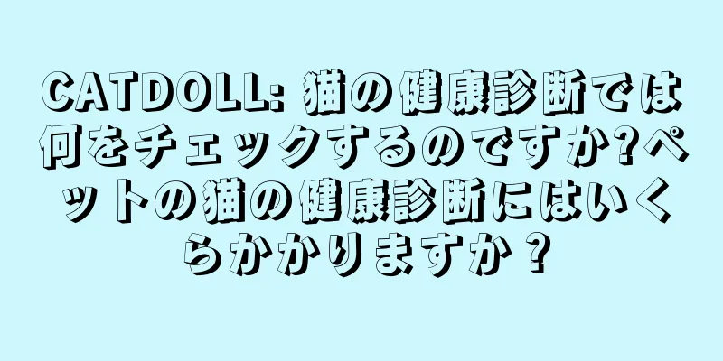 CATDOLL: 猫の健康診断では何をチェックするのですか?ペットの猫の健康診断にはいくらかかりますか？