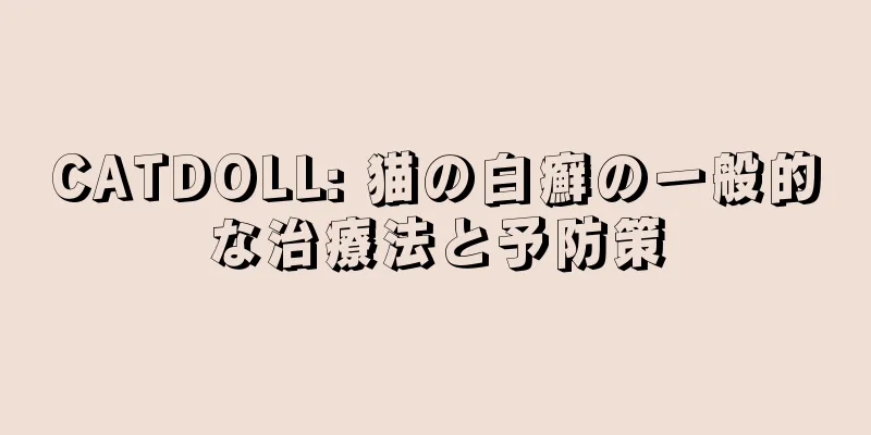 CATDOLL: 猫の白癬の一般的な治療法と予防策