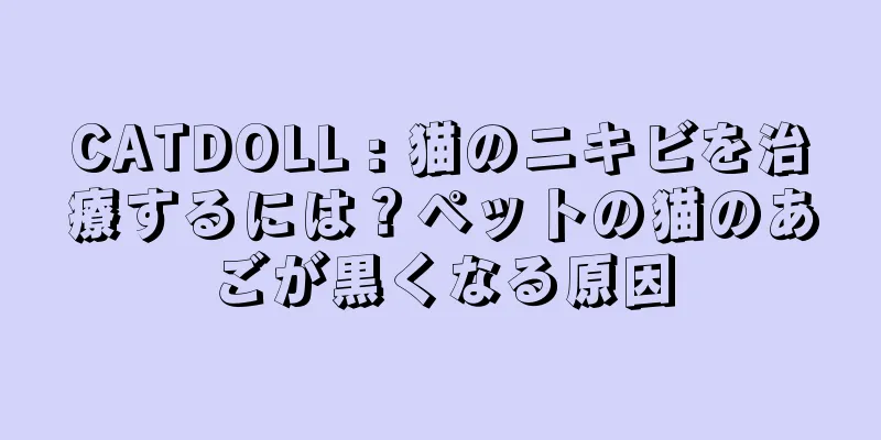 CATDOLL : 猫のニキビを治療するには？ペットの猫のあごが黒くなる原因