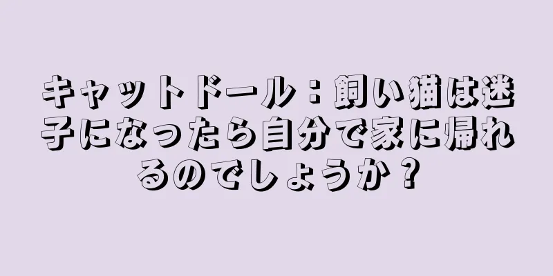 キャットドール：飼い猫は迷子になったら自分で家に帰れるのでしょうか？