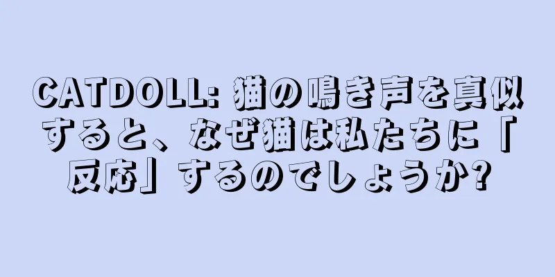 CATDOLL: 猫の鳴き声を真似すると、なぜ猫は私たちに「反応」するのでしょうか?