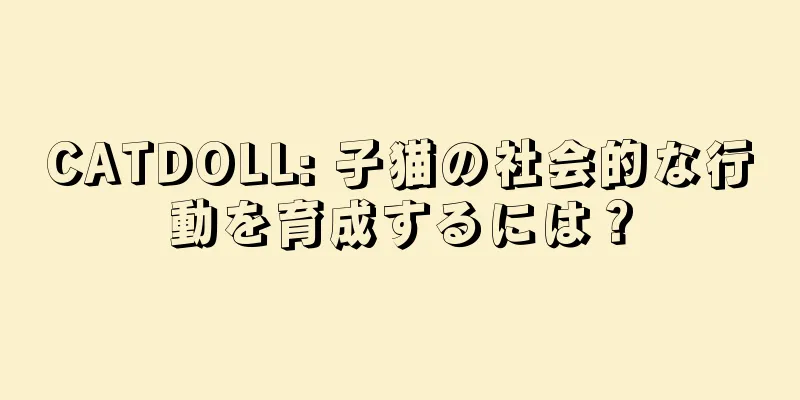 CATDOLL: 子猫の社会的な行動を育成するには？