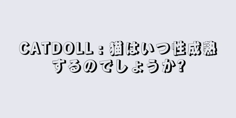 CATDOLL : 猫はいつ性成熟するのでしょうか?