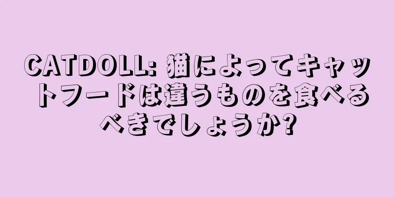 CATDOLL: 猫によってキャットフードは違うものを食べるべきでしょうか?