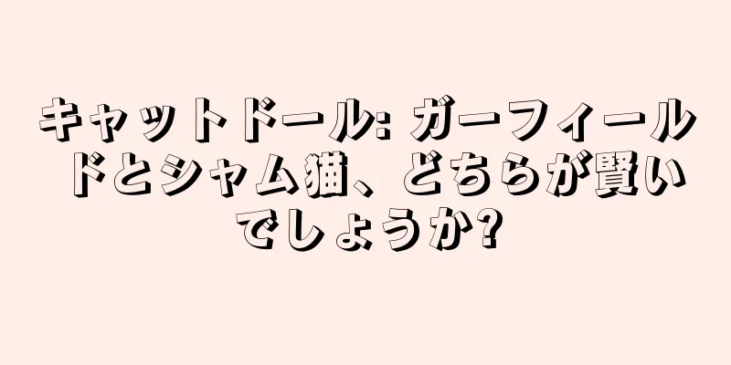 キャットドール: ガーフィールドとシャム猫、どちらが賢いでしょうか?