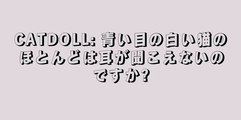 CATDOLL: 青い目の白い猫のほとんどは耳が聞こえないのですか?