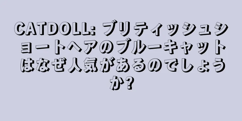 CATDOLL: ブリティッシュショートヘアのブルーキャットはなぜ人気があるのでしょうか?