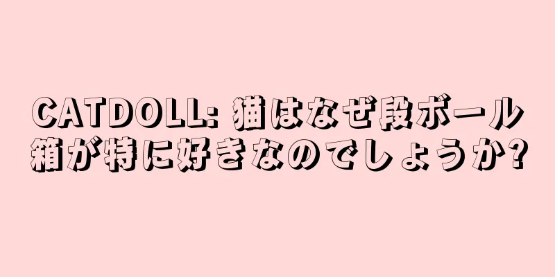 CATDOLL: 猫はなぜ段ボール箱が特に好きなのでしょうか?